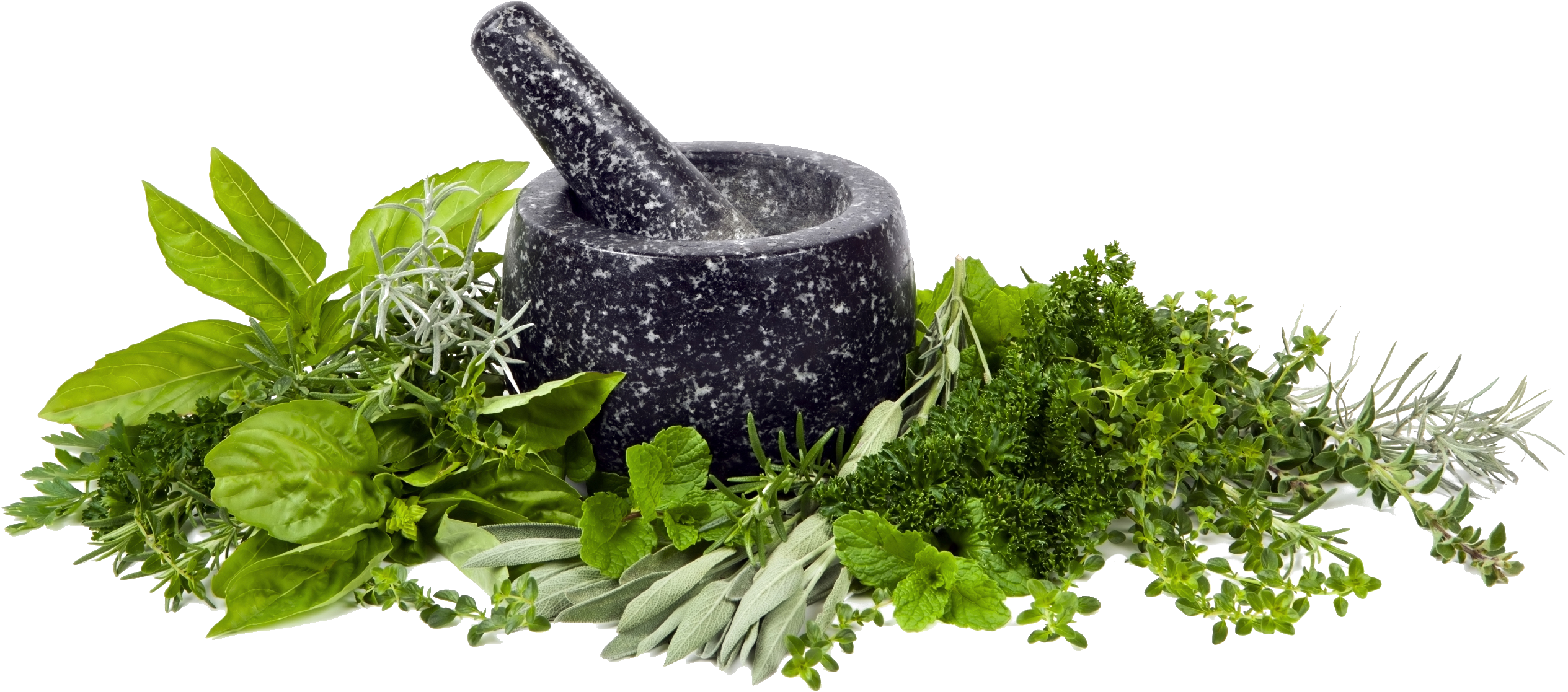 amaro Herb-High-Quality-PNG