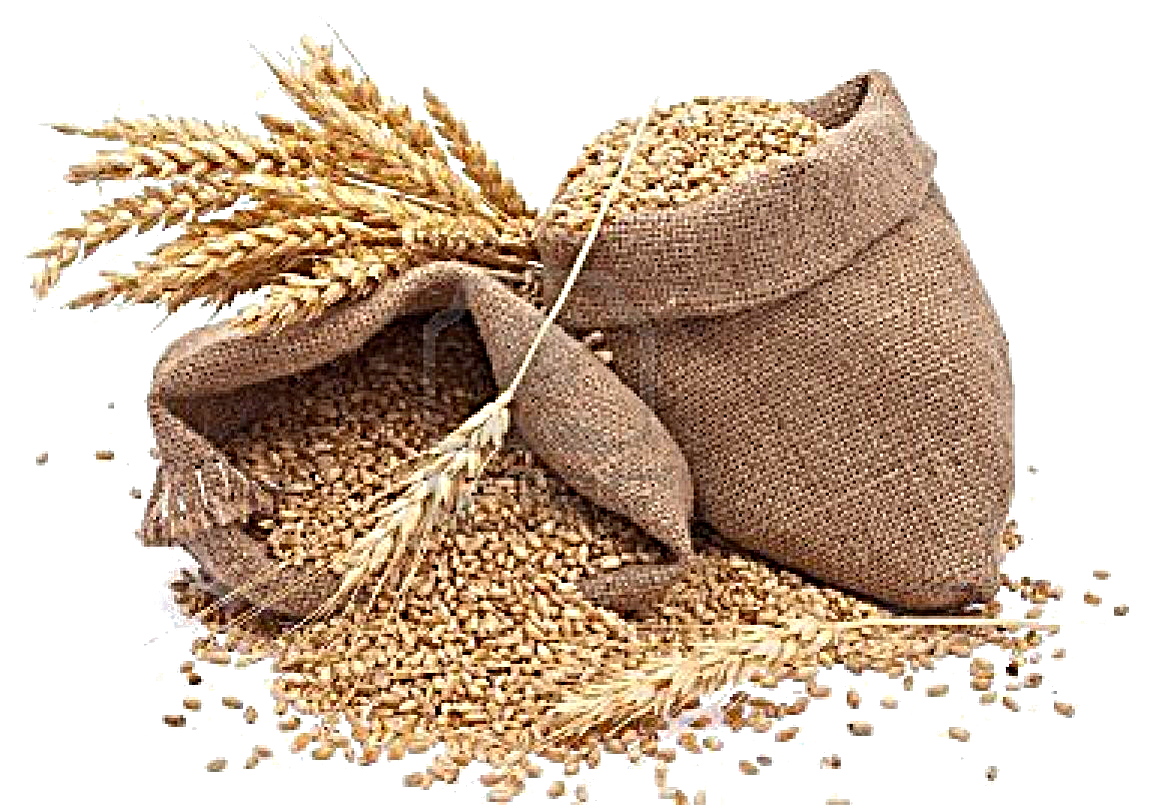 cereali mix (2)